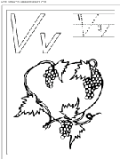 coloriage ecriture 1 lettre v comme vin