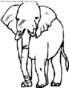 coloriage elephants