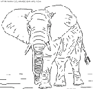 coloriage elephants