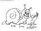 coloriage escargots