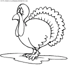 coloriage thanksgiving