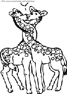 coloriage girafes