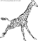 coloriage girafes