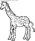 coloriage girafes