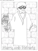 coloriage heros harry potter