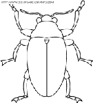 coloriage insectes