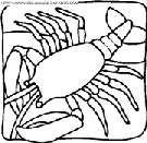 coloriage langoustes