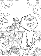 coloriage madagascar lion alex zebre marty