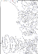 coloriage nature arc en ciel