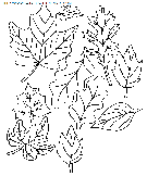 coloriage nature feuilles