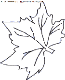 coloriage nature feuilles