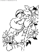 coloriage oiseaux