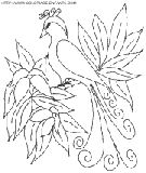 coloriage oiseaux