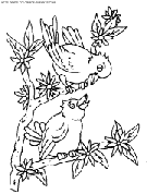 coloriage oiseaux