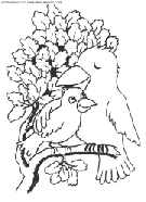 coloriage oiseaux