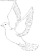 coloriage oiseaux