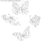 coloriage papillons