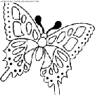 coloriage papillons