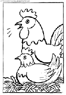 coloriage poules