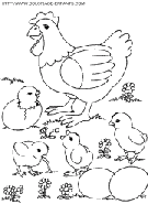 coloriage poules