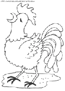 coloriage poules