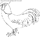 coloriage poules