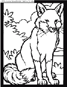 coloriage renards