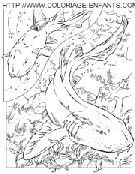 coloriage requin nourrice