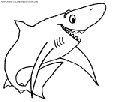 coloriage requin rigolo