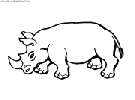 coloriage rhinoceros