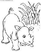 coloriage rhinoceros