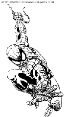 coloriage spiderman attention le voila