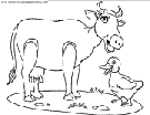 coloriage vaches