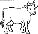 coloriage vaches