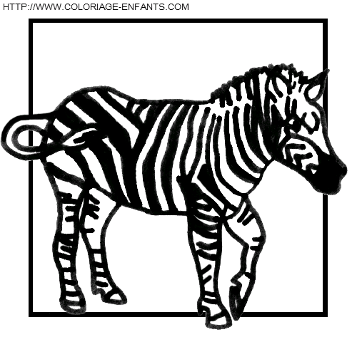 coloriage zebres
